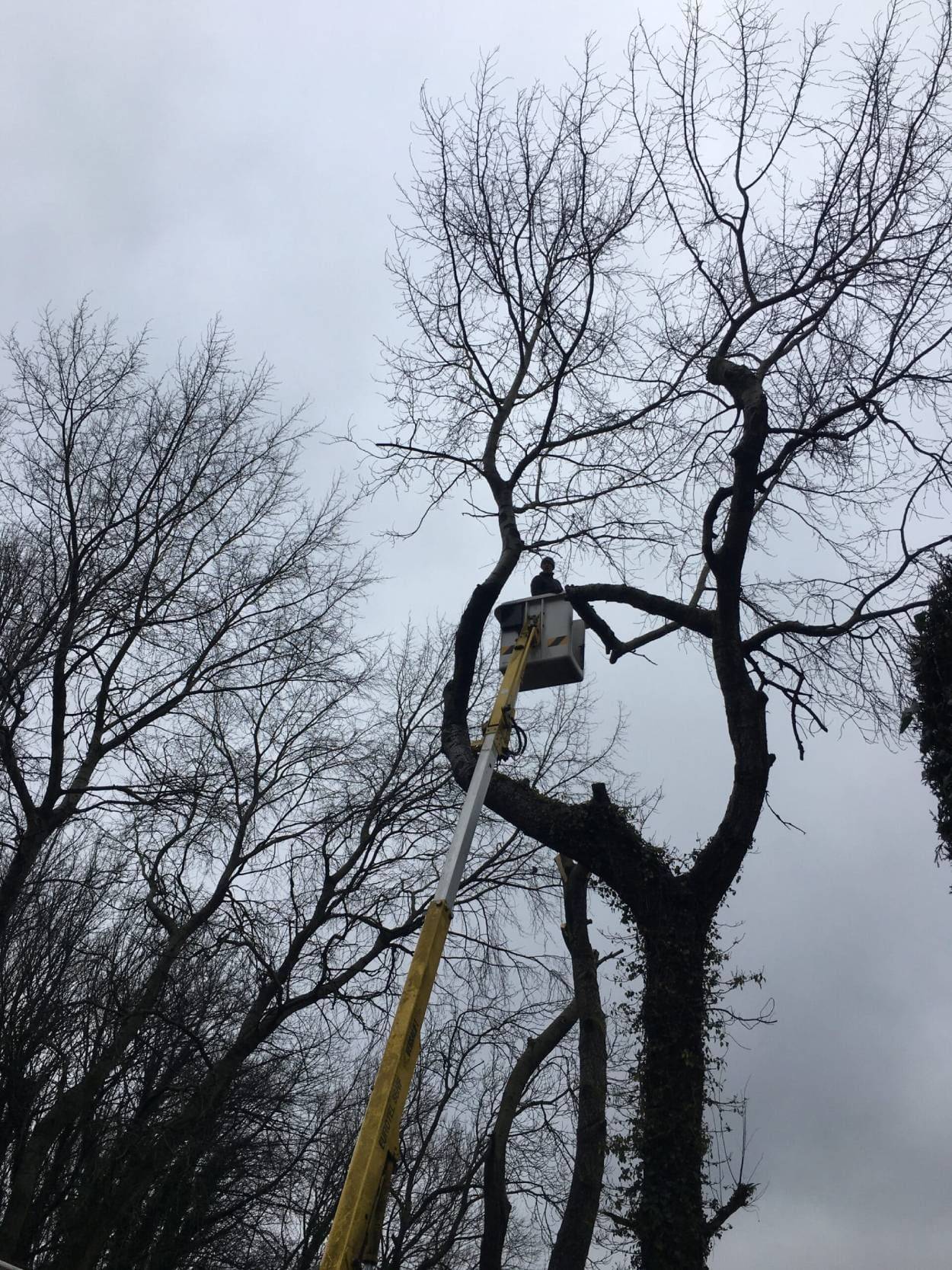 image00012-scaled (2) (1) (1)